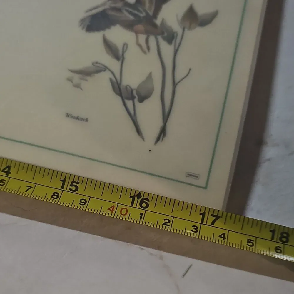 Vintage Eckelberry Bird PlacematSet Quail Pheasant Wildlife Sporting Lodge Decor - Picture 9 of 10
